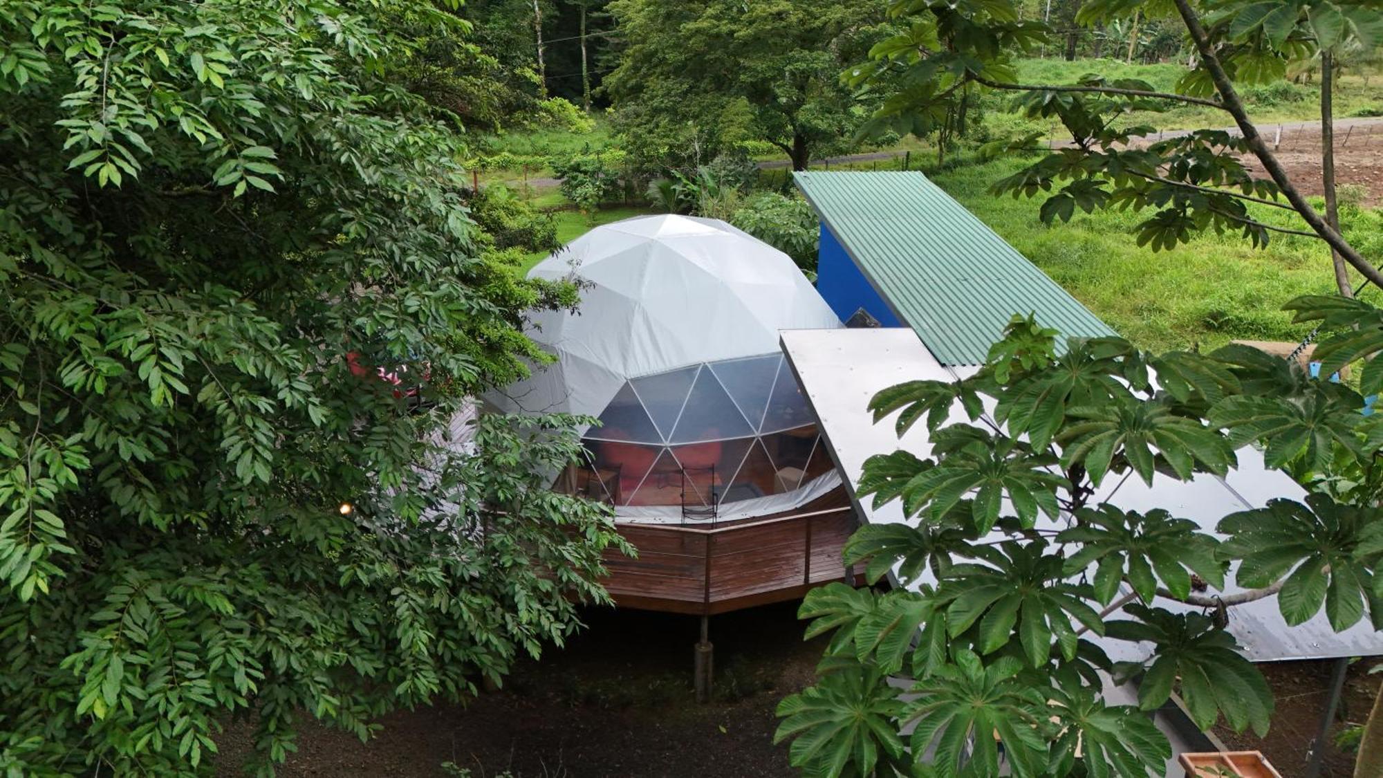 Bitzu Dome-Bijagua Riverside Glamping Ngoại thất bức ảnh