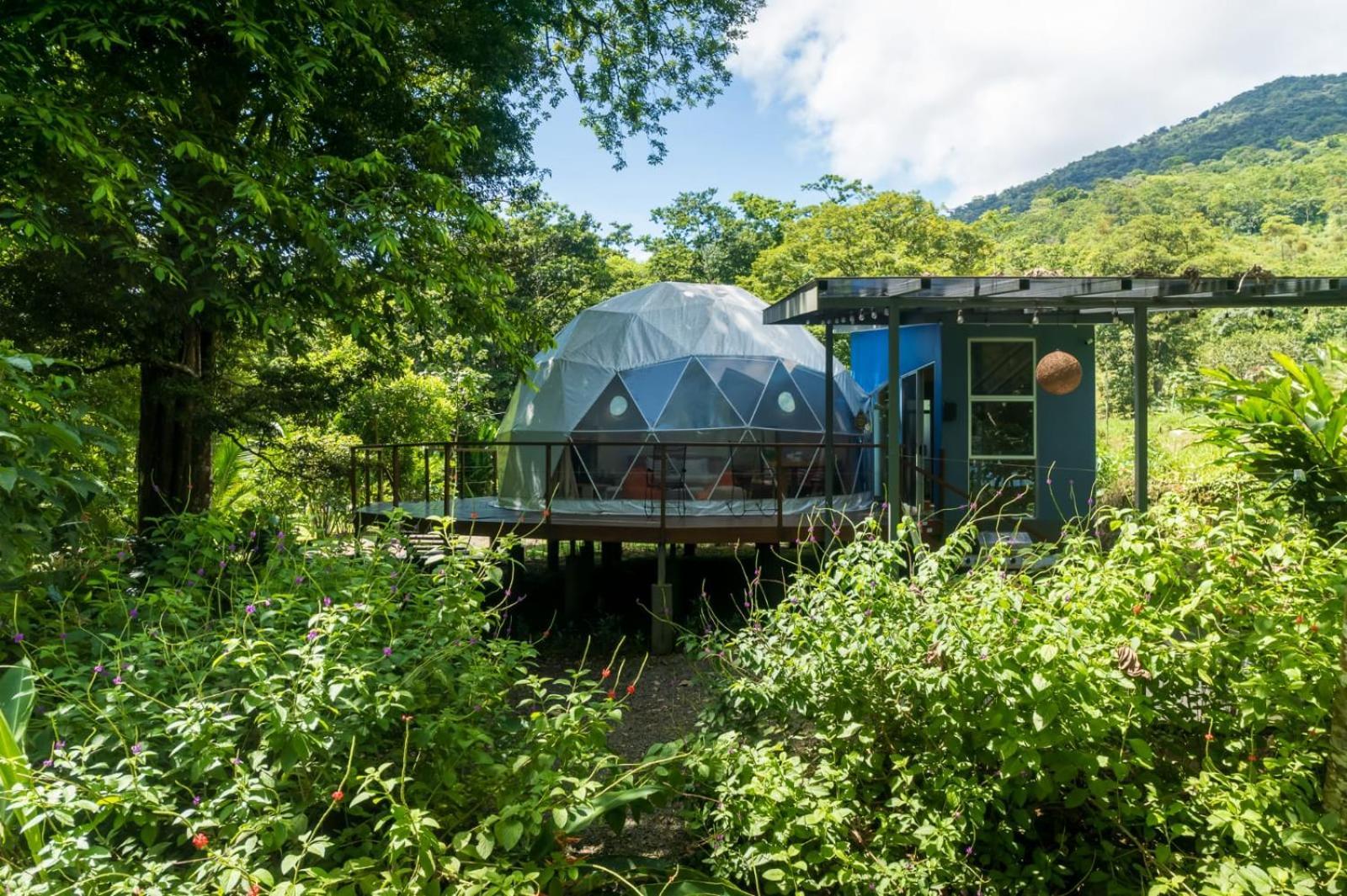 Bitzu Dome-Bijagua Riverside Glamping Ngoại thất bức ảnh