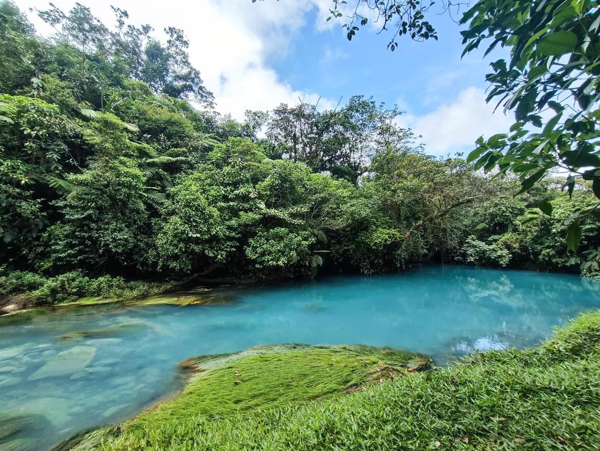Bitzu Dome-Bijagua Riverside Glamping Ngoại thất bức ảnh